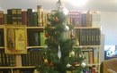 С Рождеством Христовым, дорогие читатели! В новом году ждем вас в нашей библиотеке!