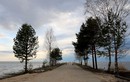 Дорога на причал в Липином Бору